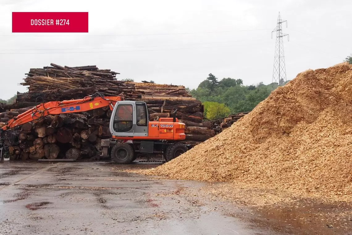 Grandi centrali elettriche e gestione forestale