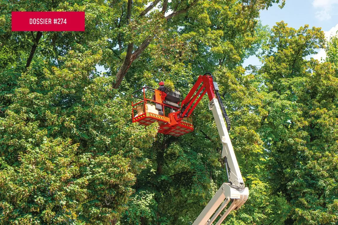 Sottoprodotti del fuori foresta per uso energetico
