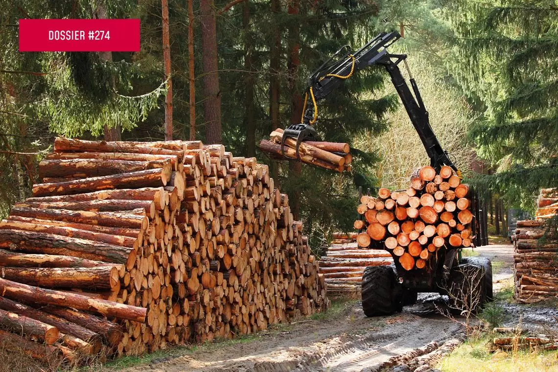 Legno e transizione energetica in Italia