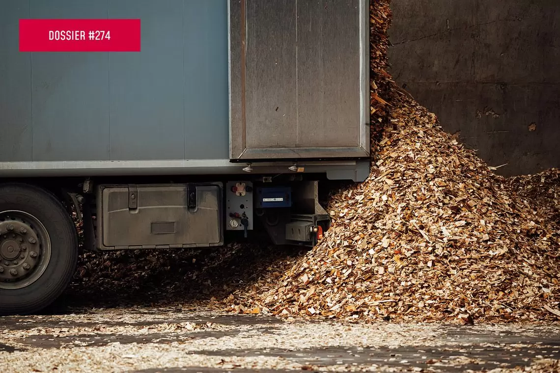 Sostenibilità e qualità per combustibili legnosi