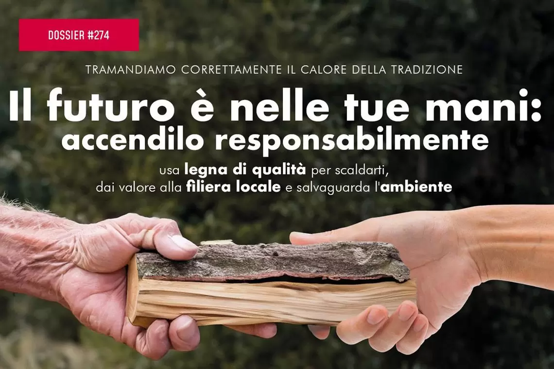 Comunicare la filiera bosco-legno-energia