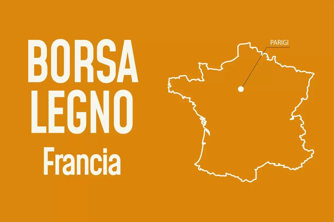 Borsa Legno: prezzi dei boschi in piedi in Francia