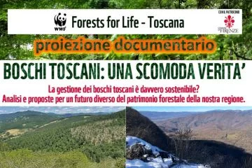 Boschi toscani: una scomoda verità. Ambientalismo o populismo?