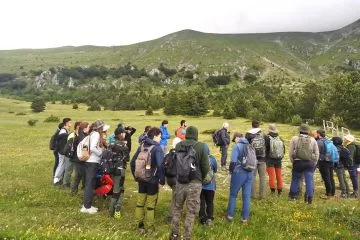 La Summer School forestale: l’iniziativa di AUSF Ancona