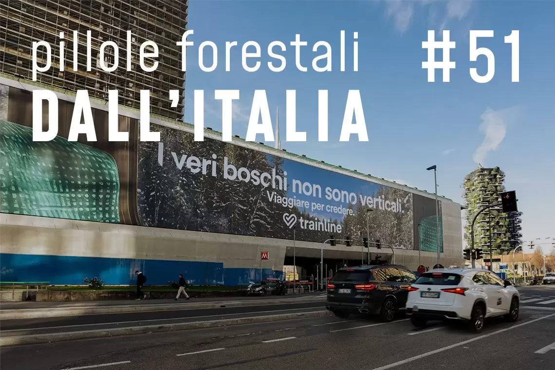 Pillole forestali dall'Italia puntata 51