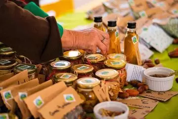 Alla Foresta Modello delle Montagne Fiorentine si parla di Agricoltura e produzione, inclusione ed opportunità