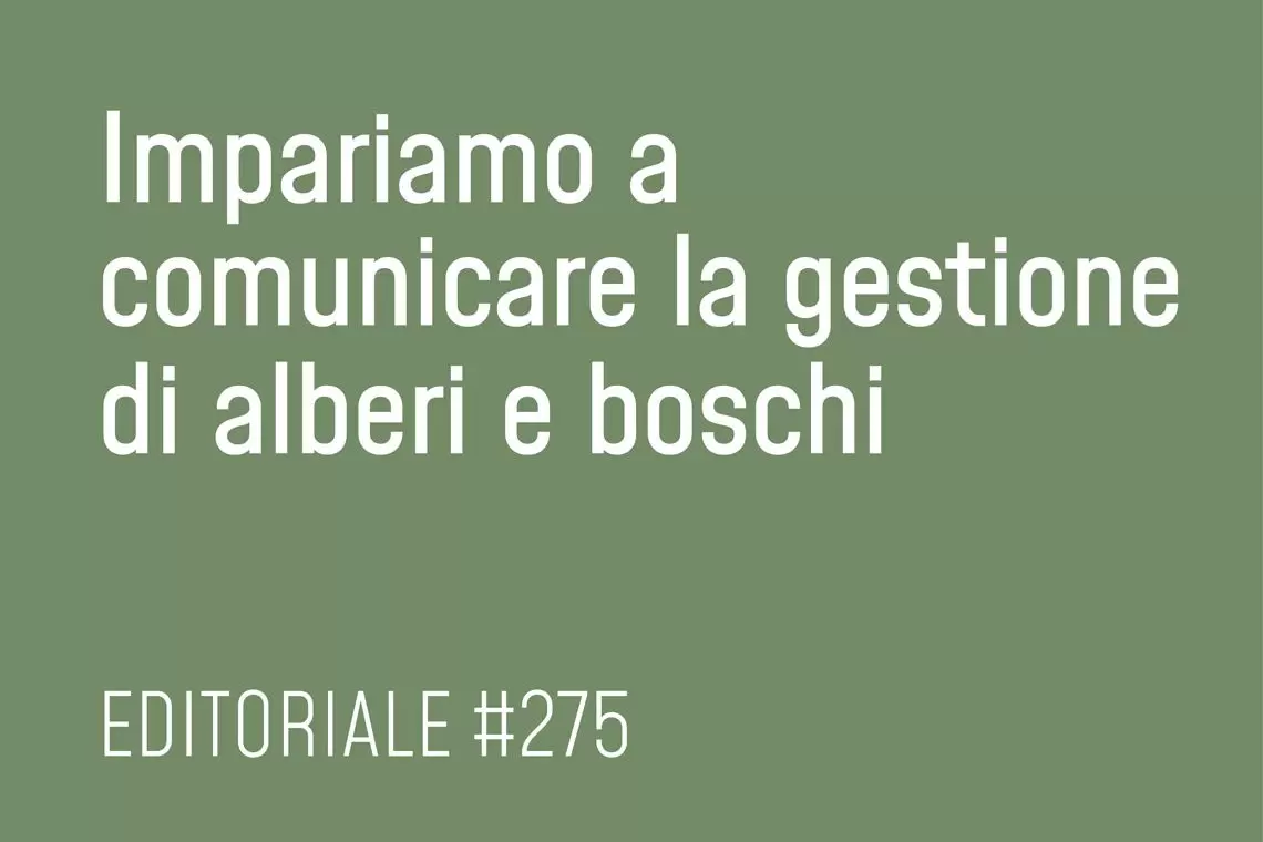 Impariamo a comunicare la gestione forestale 