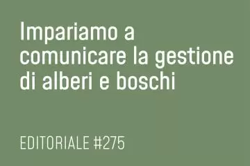 Impariamo a comunicare la gestione di alberi e boschi