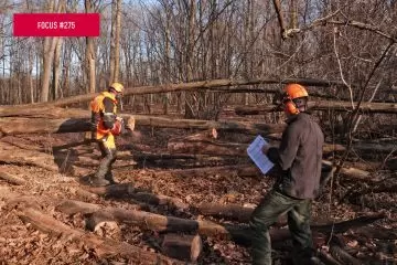 I green job in Europa