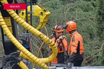 Il lavoro con alberi, piantagioni arboree e foreste