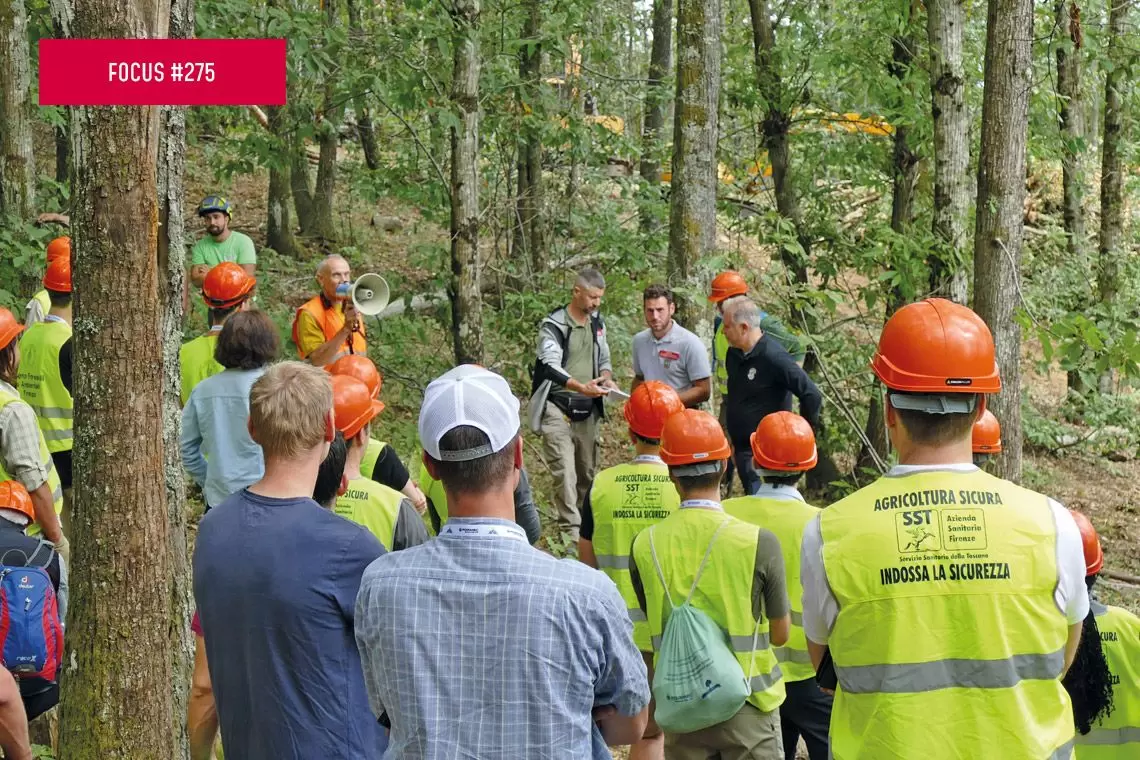 I tre pilastri dei green job forestali