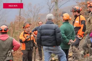 Serve un quadro sulle competenze per i GFJ