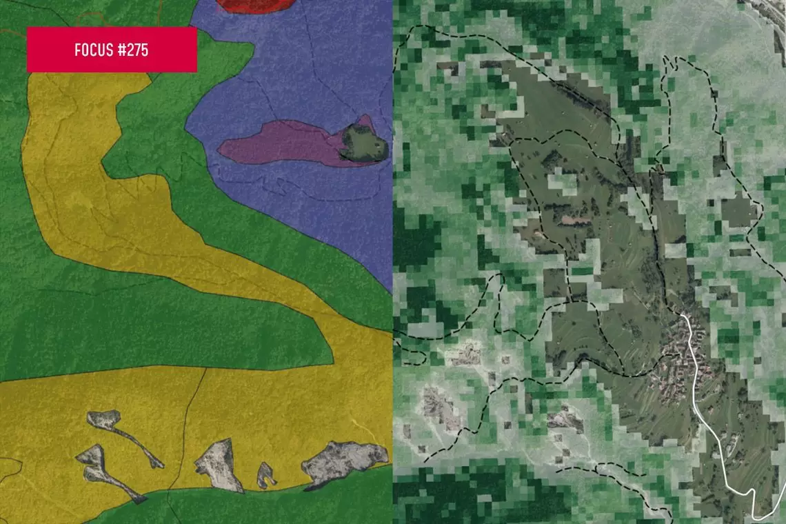 Sistemi di Supporto alle Decisioni in campo forestale