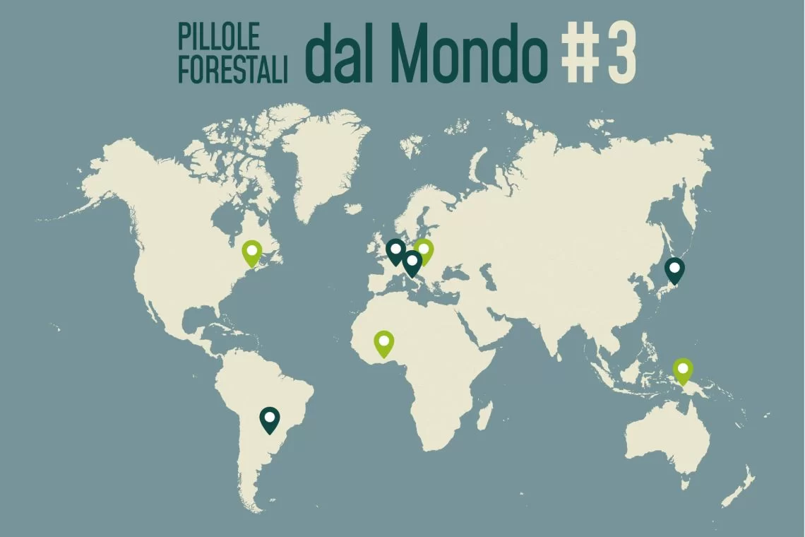 Pillole-Forestali-dal-Mondo-03