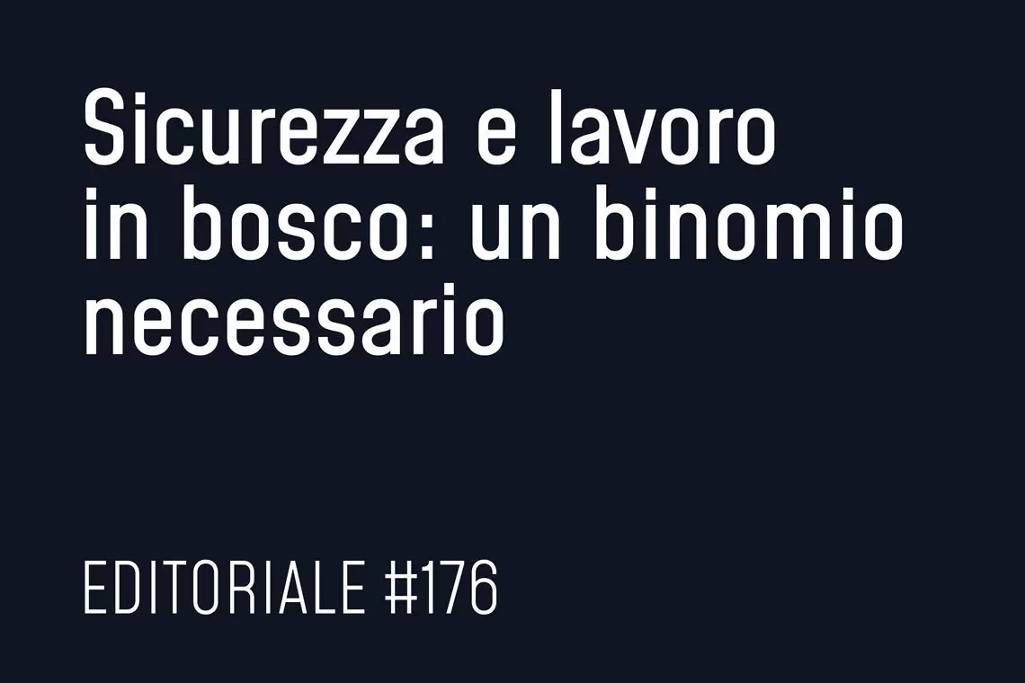 Sicurezza e lavoro in bosco: un binomio necessario 