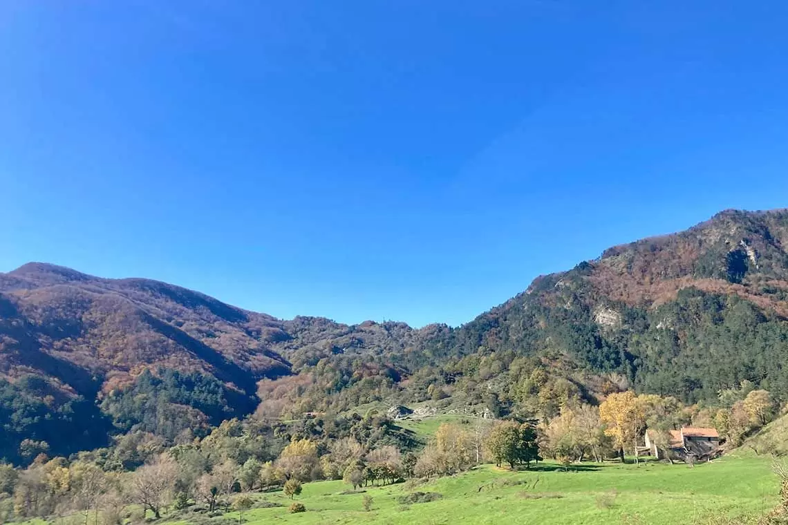 Posto da ricercatore in genetica forestale disponibile al CREA FL di Casale Monferrato