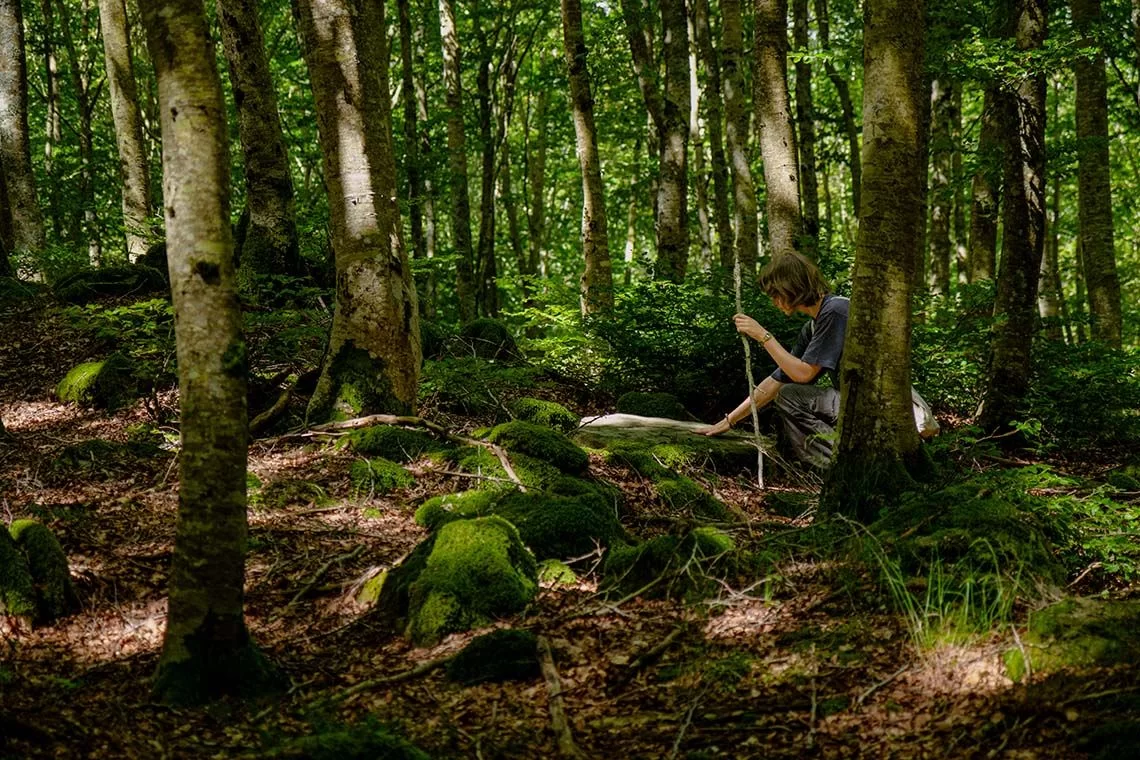 Foreste che curano nelle Montagne fiorentine: a Pontassieve l'evento finale del progetto FOR.SA