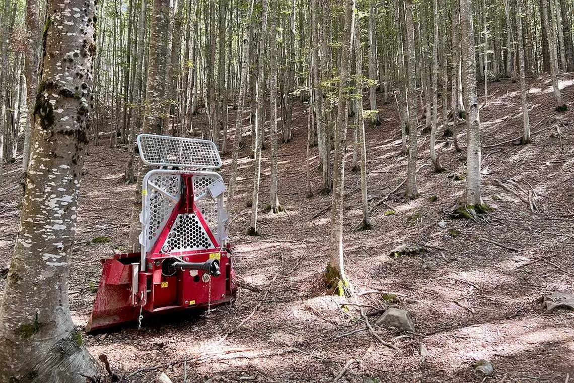 Incentivi regionali per il settore bosco-legno del Friuli-Venezia Giulia 