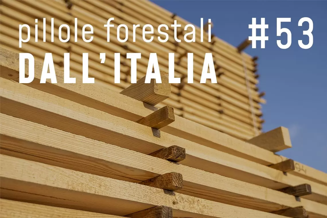 Pillole forestali dall'Italia puntata 53