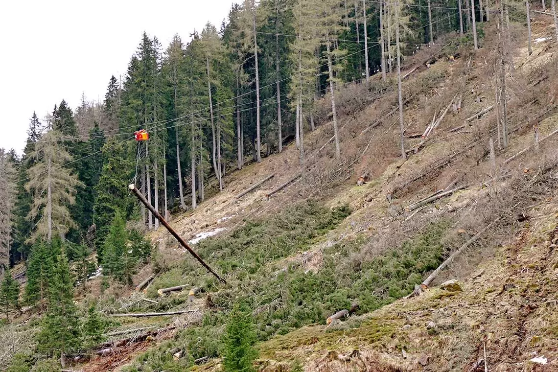 Asta lotto in piedi di legname commerciale (bostrico) nel Comune di Gallio (VI)