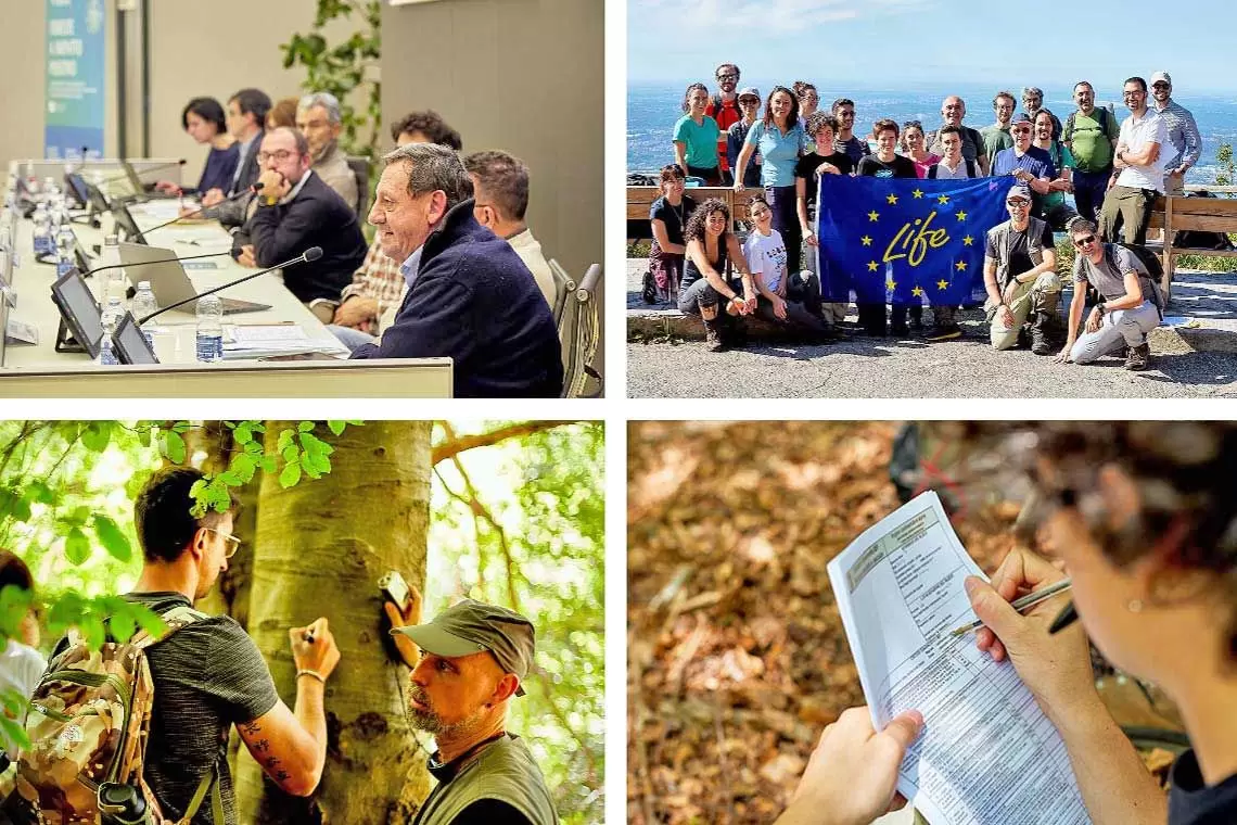 Finanziamenti per l’associazionismo fondiario e la gestione – Webinar sulle opportunità per la regione Piemonte