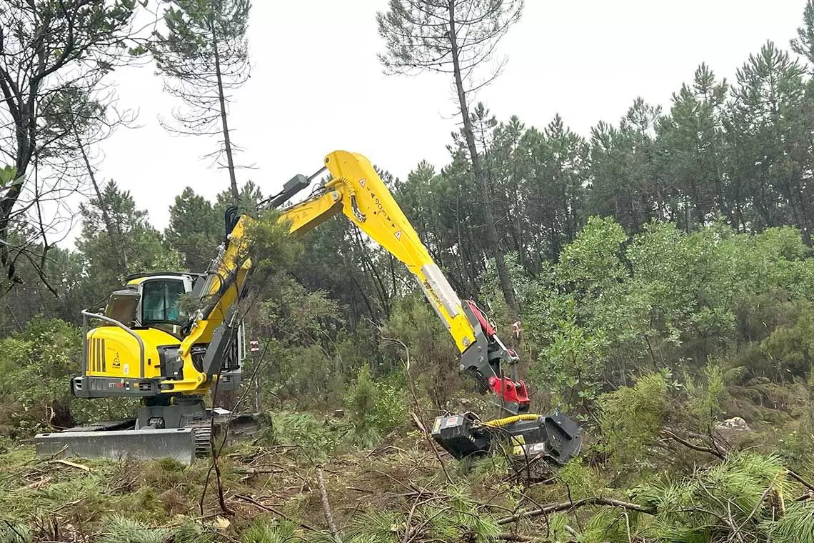 Regione Toscana: sostegno finanziario per l’avvio di nuove imprese connesse alla selvicoltura