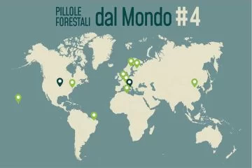 Pillole forestali dal mondo #04 - Dalla mancanza di legno in Svizzera alle 10 lezioni sul ripristino forestale