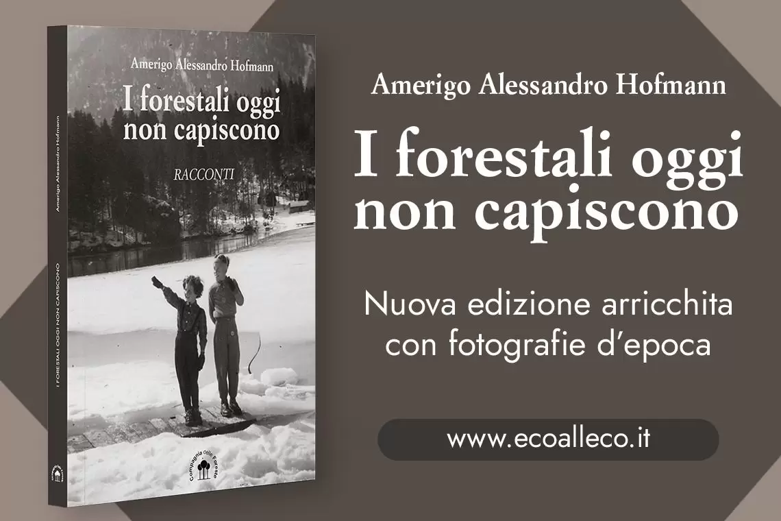 I forestali oggi non capiscono - nuova edizione