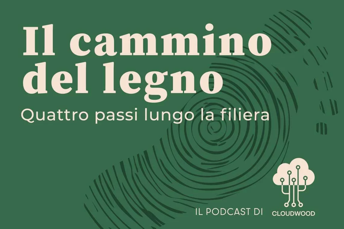 Il cammino del legno - il podcast