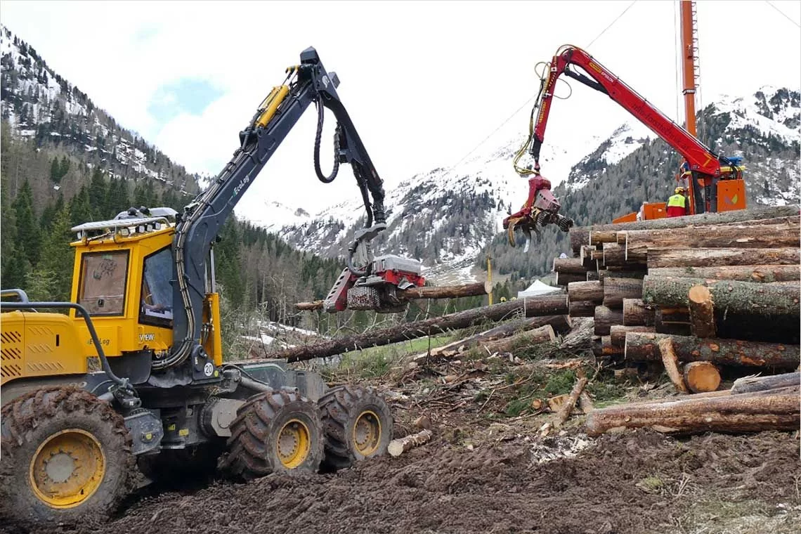 Considerazioni sugli insegnamenti di Meccanizzazione e Utilizzazioni forestali impartiti nei corsi di laurea in Italia