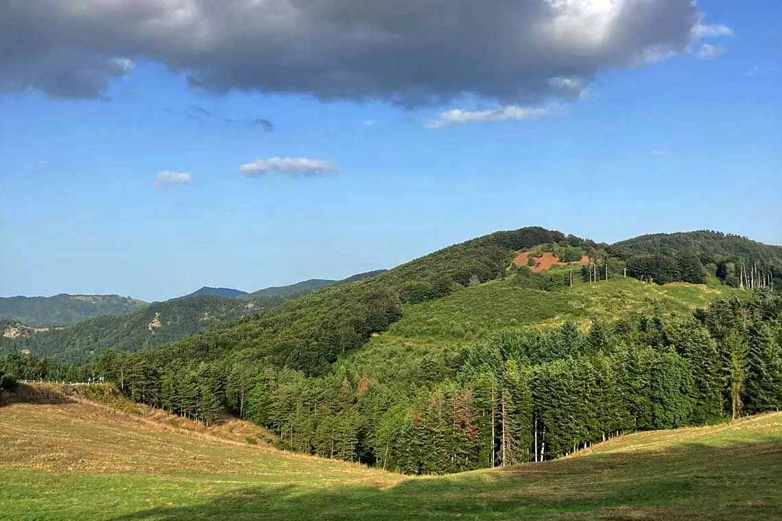 Progettazione Forestale, a Firenze un seminario di AUSF dedicato a studenti ed iscritti all’Ordine