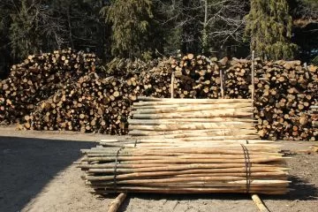 ARIBT scrive a Regione Toscana: dalle nuove norme di conservazione della RN2000 un impatto 