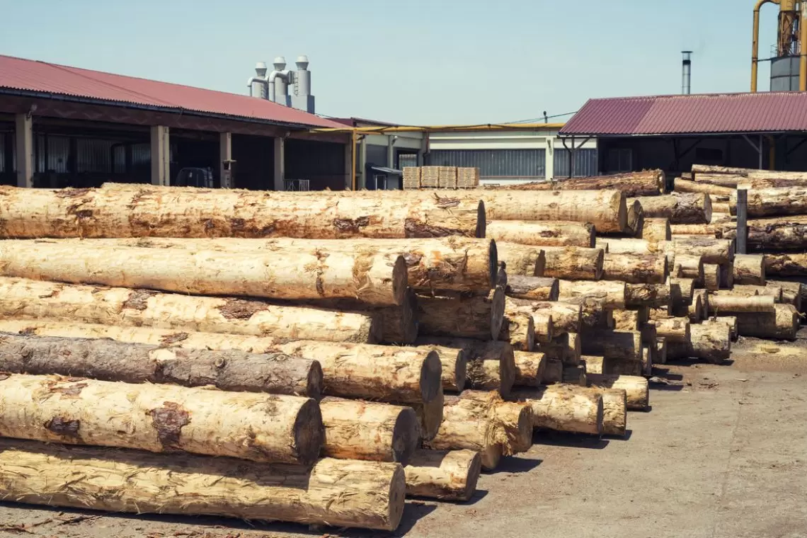 decreto Mimit filiere legno