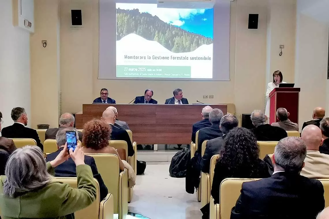 Gestione forestale sostenibile: prospettive del monitoraggio in Italia nell’incontro di AlberItalia e SISEF in Senato il 27 marzo