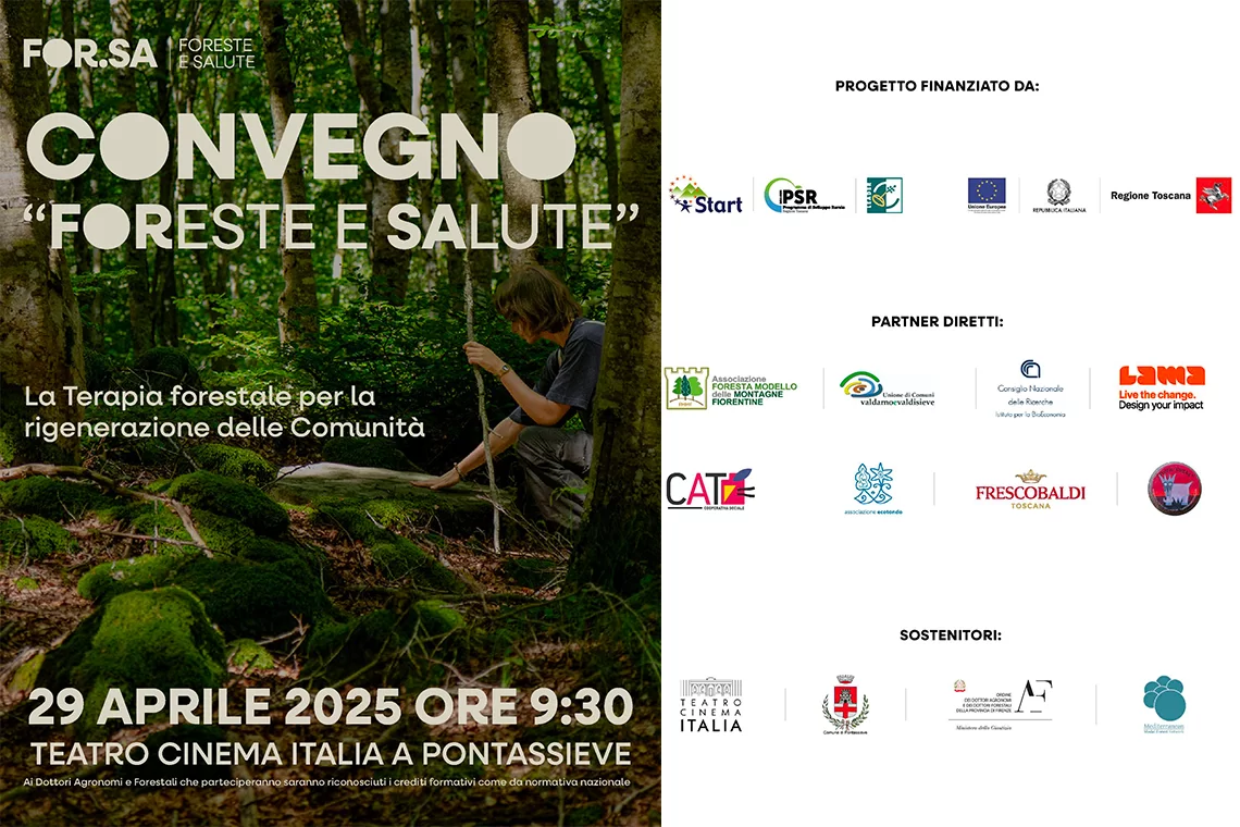 forsa 29aprile pontassieve