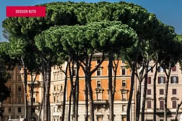 Gestire il verde urbano oggi