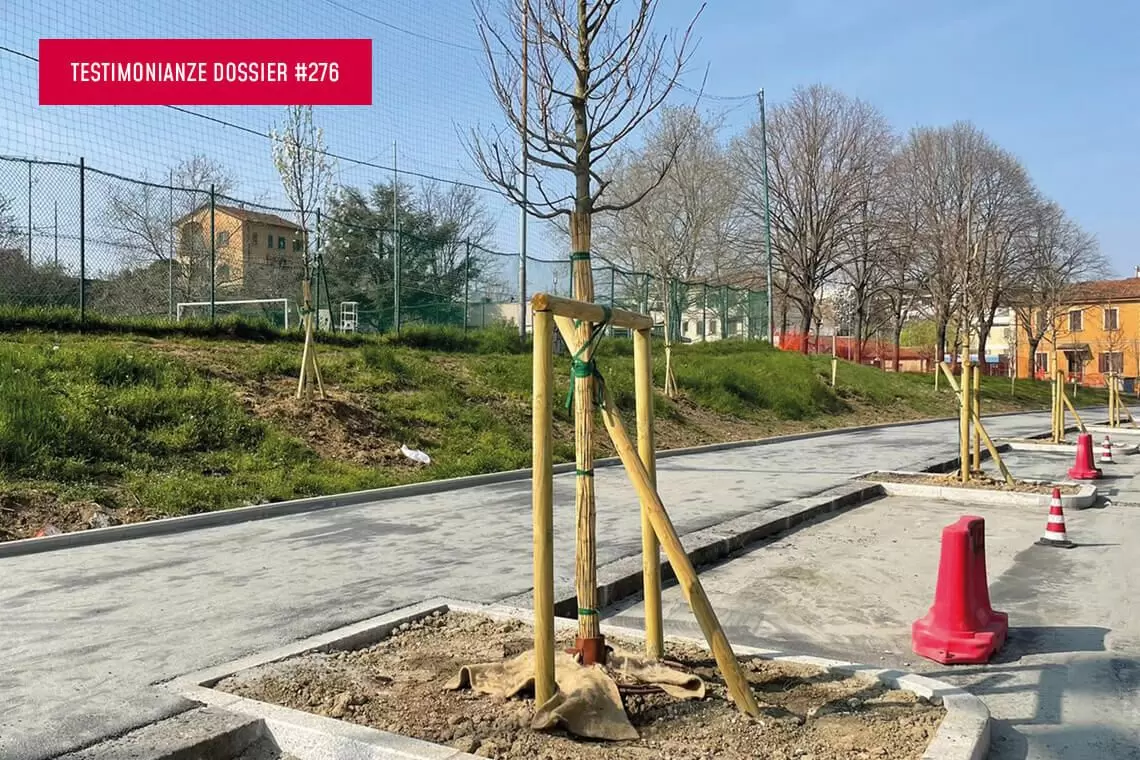 Valore della comunicazione nel taglio di alberature cittadine