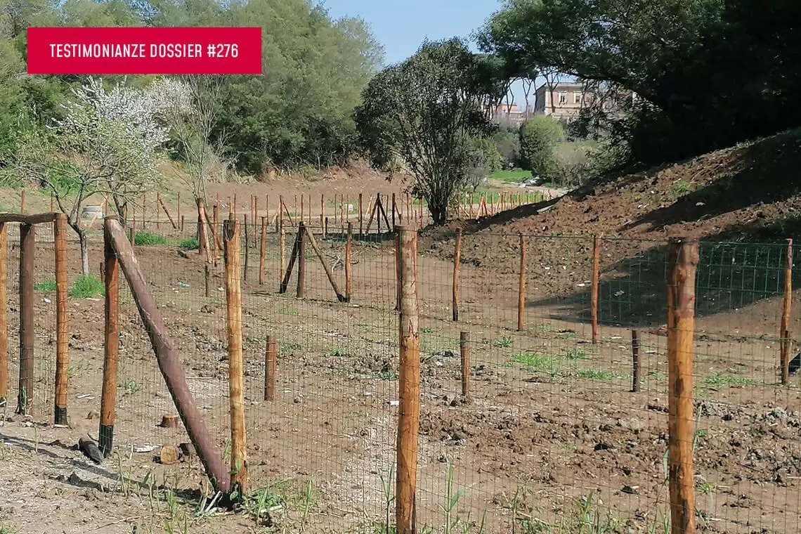 Orti urbani e percorsi attrezzati a Roma