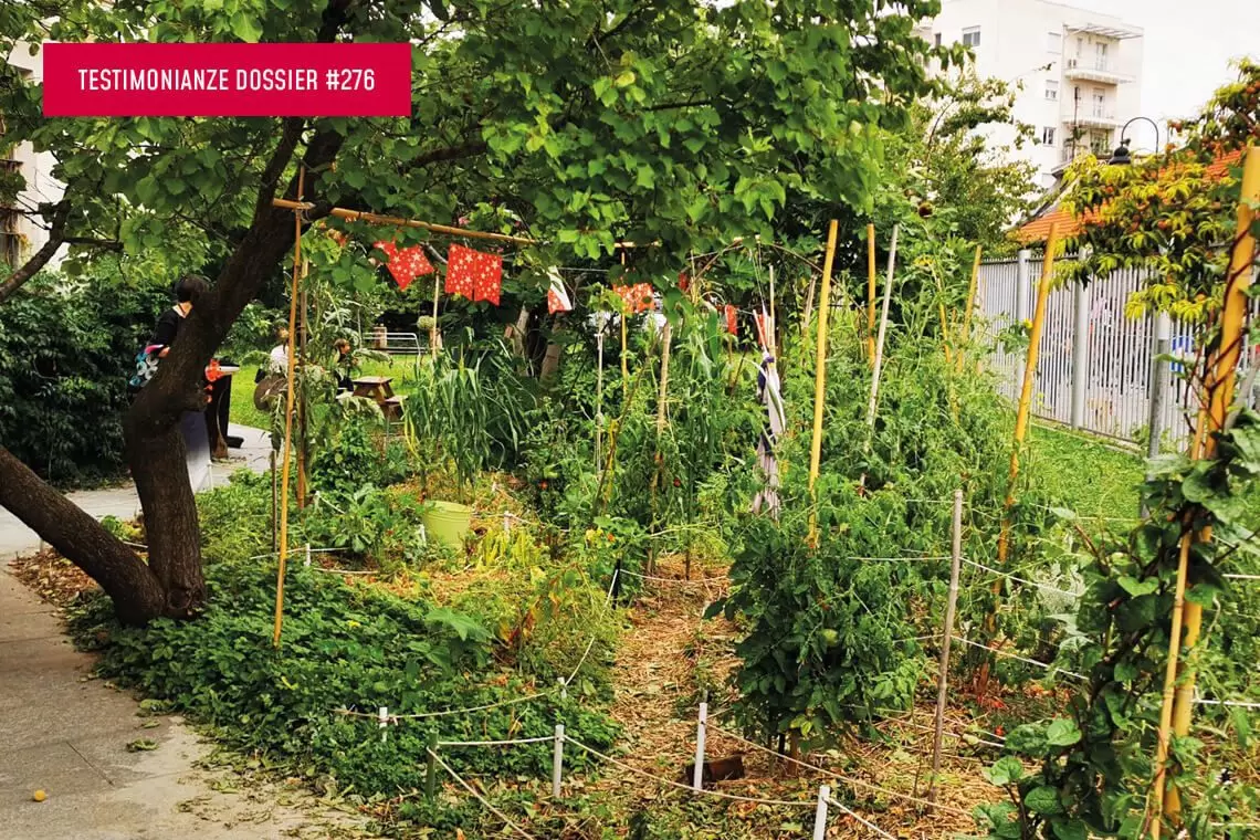 Collaborazione fra natura e vivere urbano