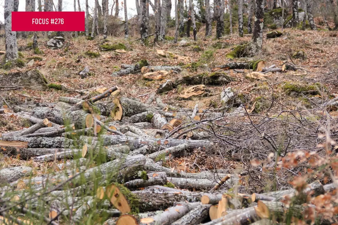 La raccolta dati su prelievi legnosi dal 1948 al 2015