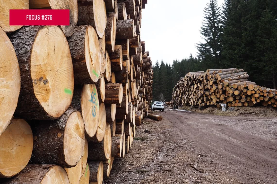 SINFor: i dati 2022 e 2023 sui prelievi legnosi in Italia