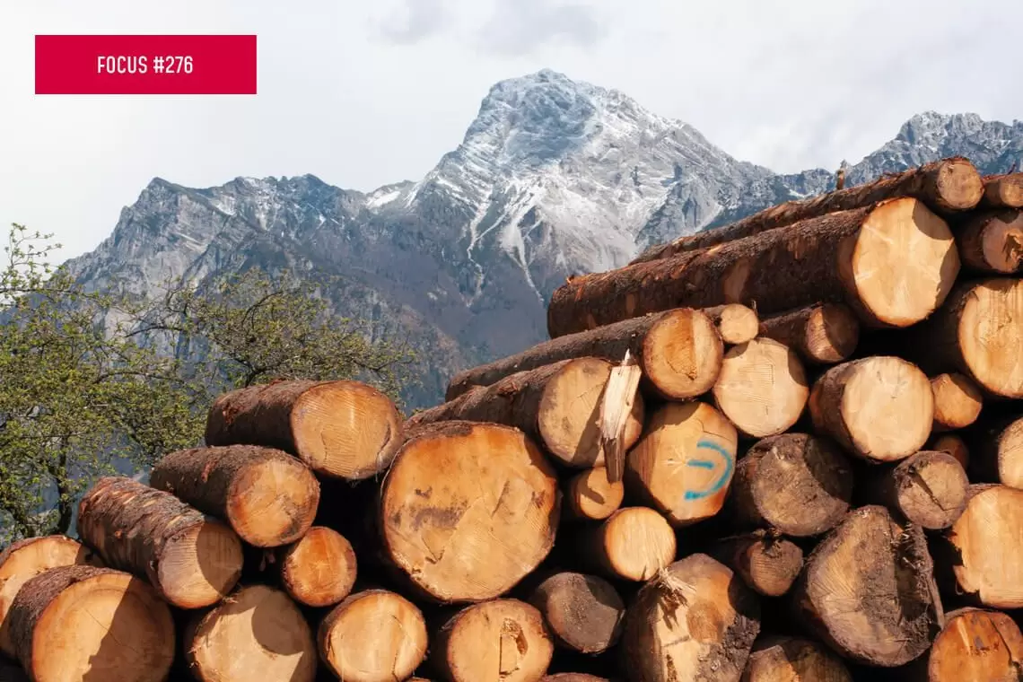 SINFor: conoscere quanto si taglia per pianificare meglio