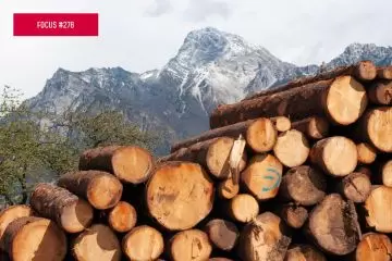 SINFor: conoscere quanto si taglia per pianificare meglio