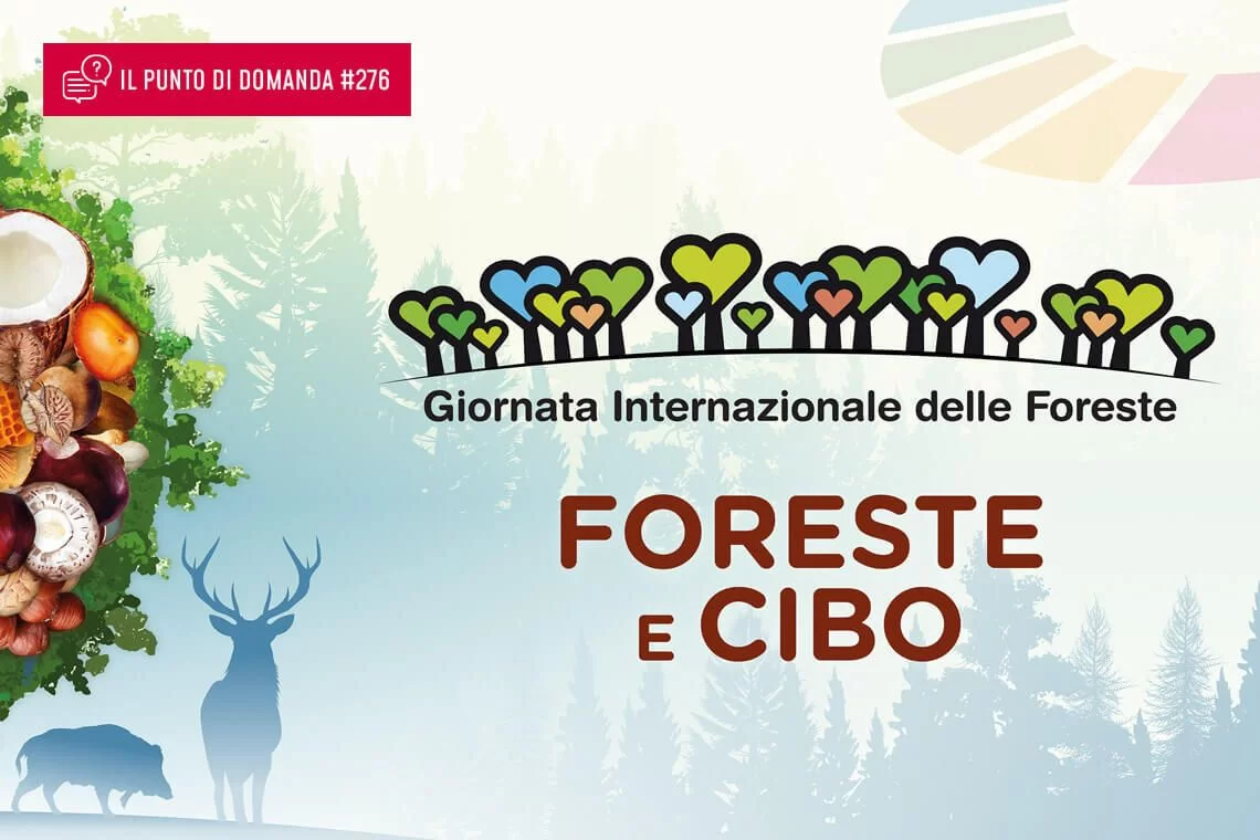 Foreste e cibo: rapporto su cui riflettere