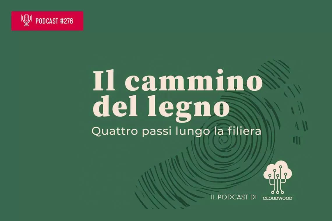 Il cammino del legno: podcast sulla tracciabilità di filiera