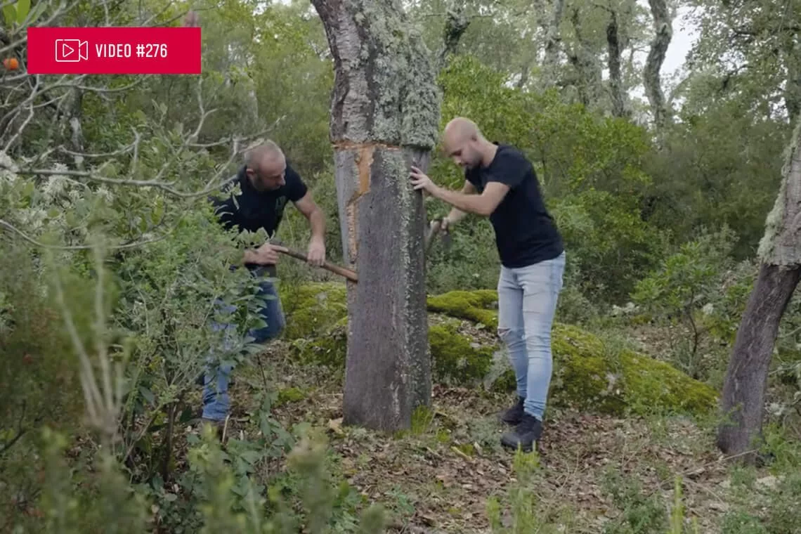 Docufilm “Quello che le foreste non dicono”