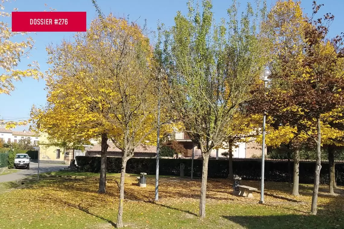 Importanza del verde in ambiente urbano