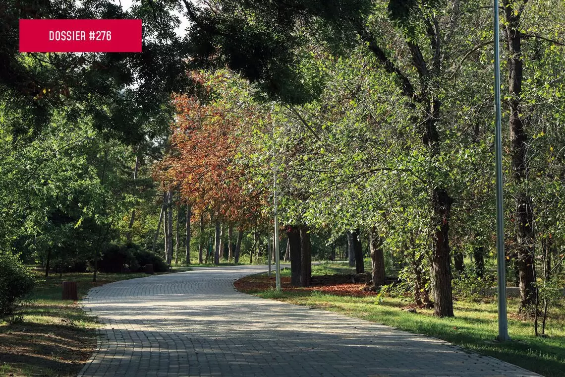 Strumenti per la gestione del verde in città