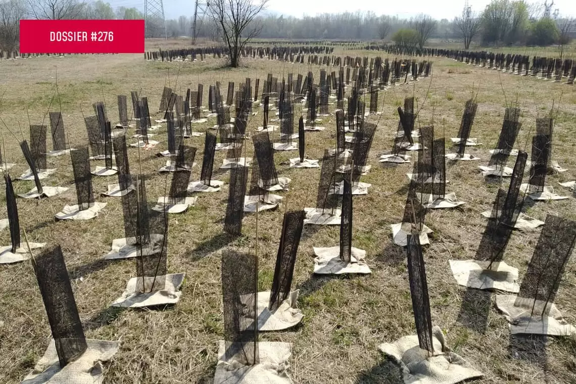 Schede di supporto alla scelta delle specie