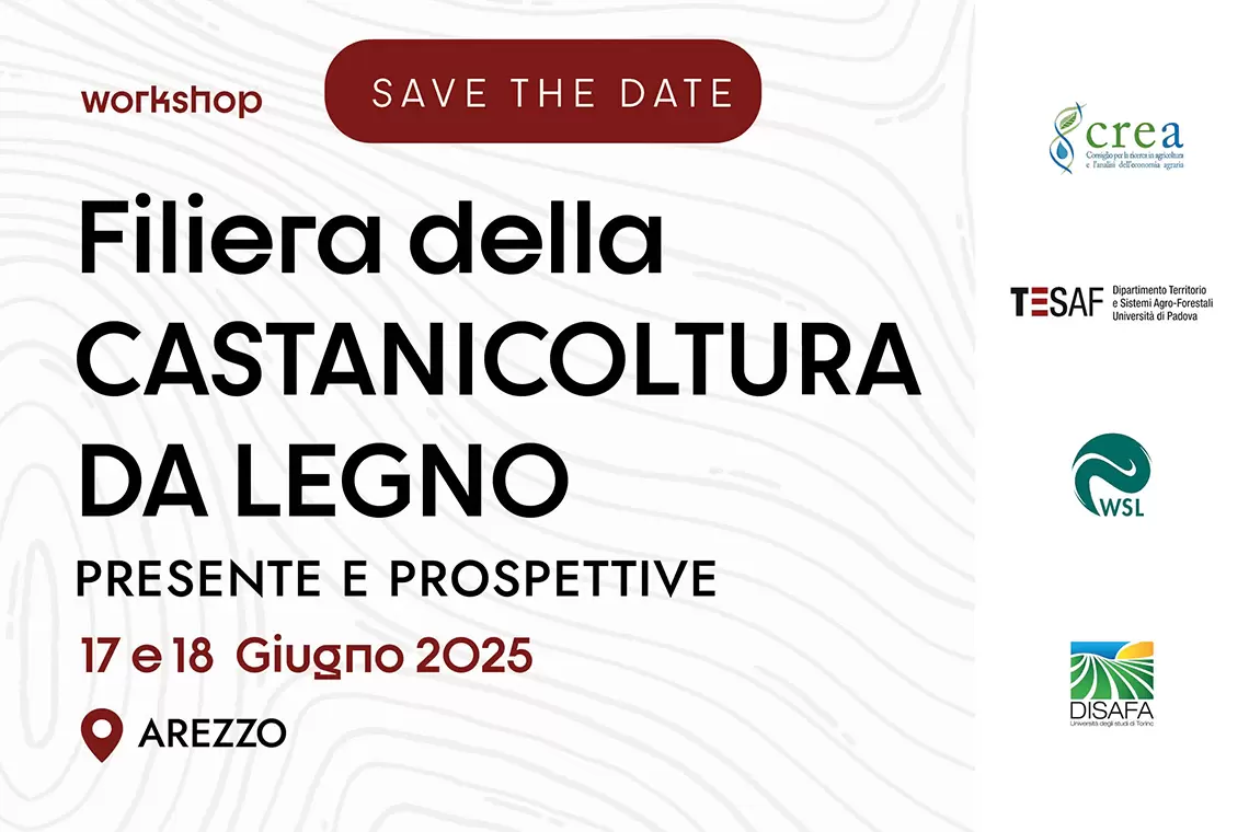 Save the date: ad Arezzo due giorni di workshop sulla filiera della castanicoltura da legno